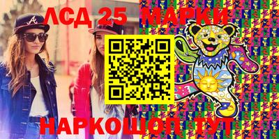 прущие грибы Кингисепп