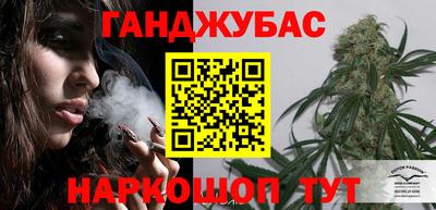 прущие грибы Кингисепп